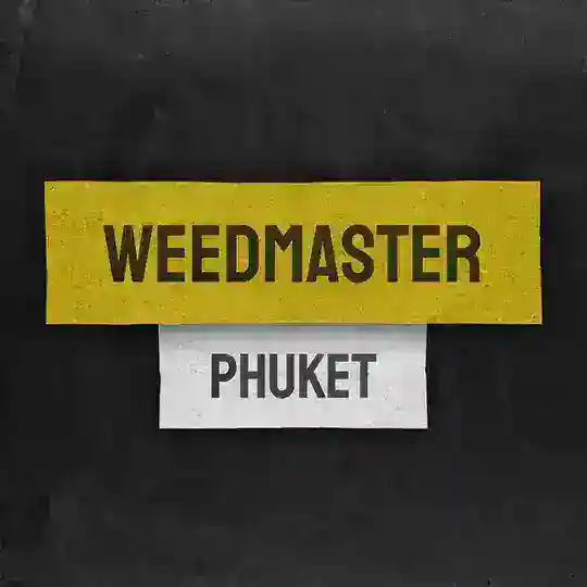 Weed Cannabis Community Phuket