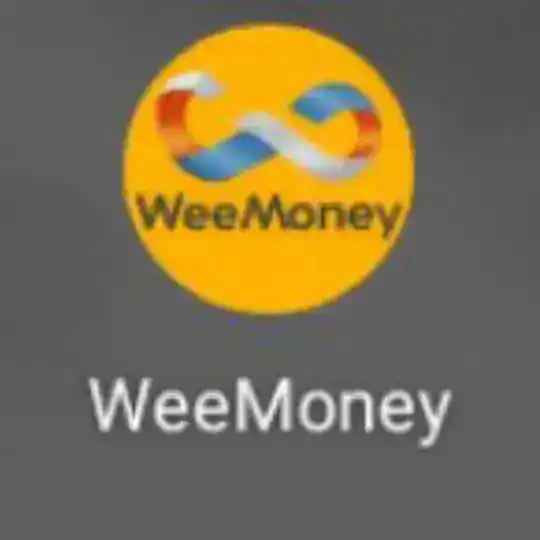WeeMoney para kazancı