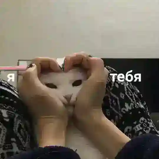 вайди и выйди