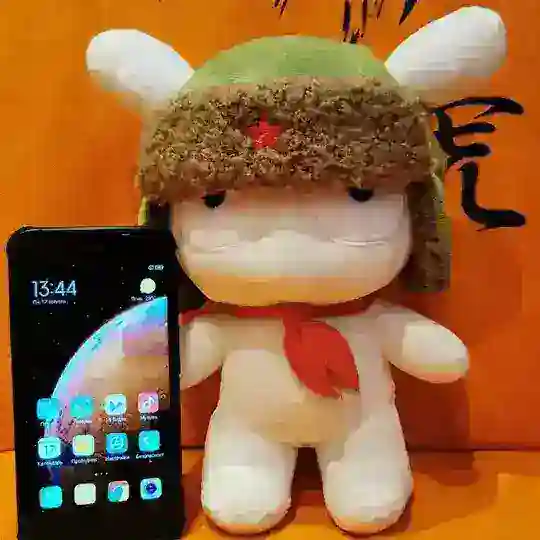 Xiaomi и флуд