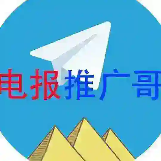 飞机号 电报号