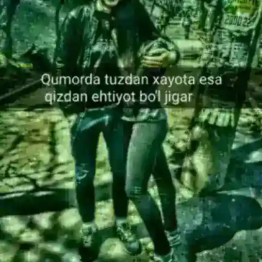 TANISHUVLAR OLAMI