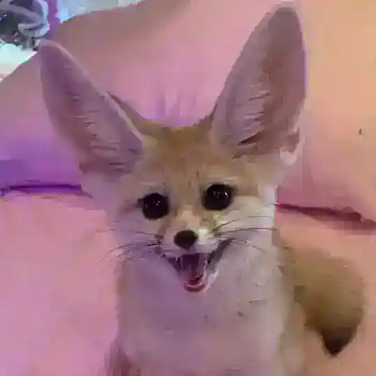 Мысли вслух✨