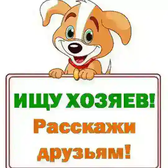 Животные САНКТ-ПЕТЕРБУРГ