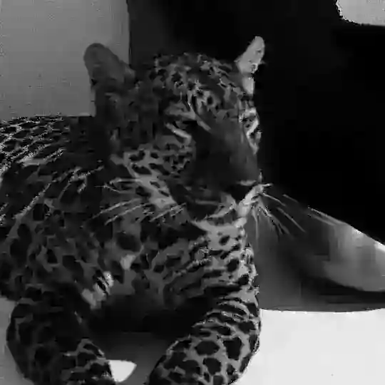 Знайомство Україна 18+ 🤍