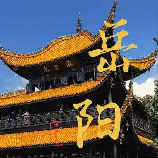 岳阳修车总群