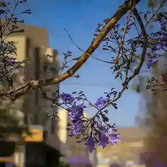 جروب لمة رمضان