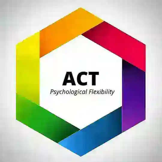 Acceptance and Commitment Therapy ACT | ویس فیلم کارگاه آموزش & دوره ی آموزشی روانشناسی | درمان مبتنی بر پذیرش و تعهد اکت A.C.T