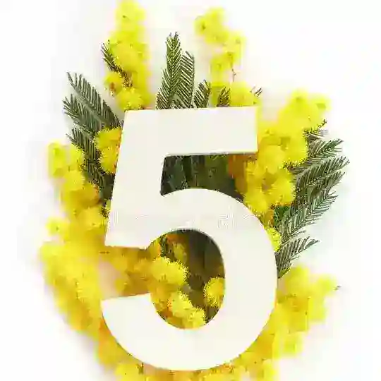 حلول منصة الف الصف الخامـس 5