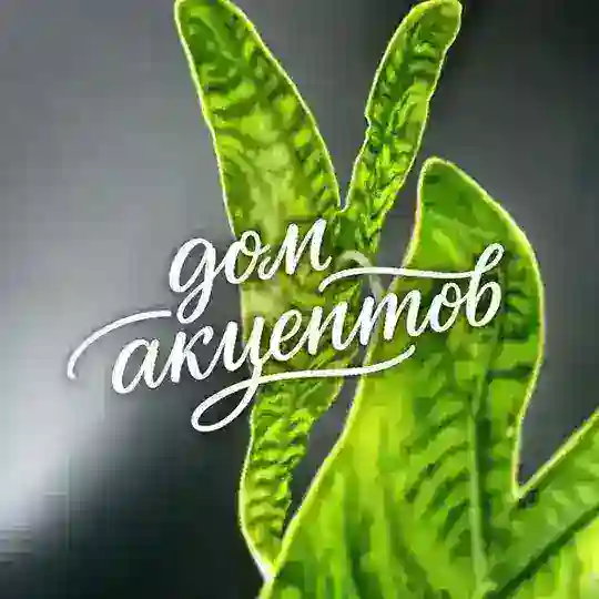 🛍 Дом Акцентов