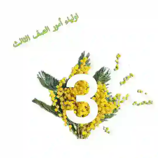 حلـول الصـف الرابـع - الامـارات