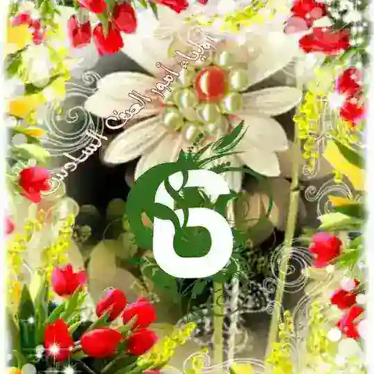 أولياء أمور الصف السادس 🌻عام ومتقدم🌻