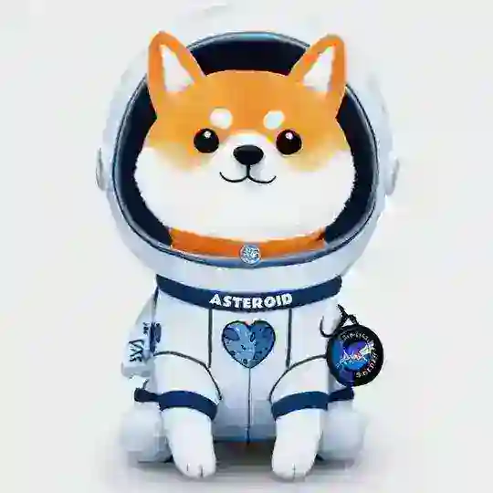 Asteroid Shiba CTO