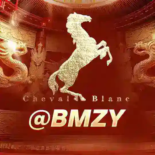 🔥白马庄园@BMZY🔥上下分群 总押300万美金