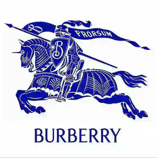 🎁BURBERRY_CLUB🎁