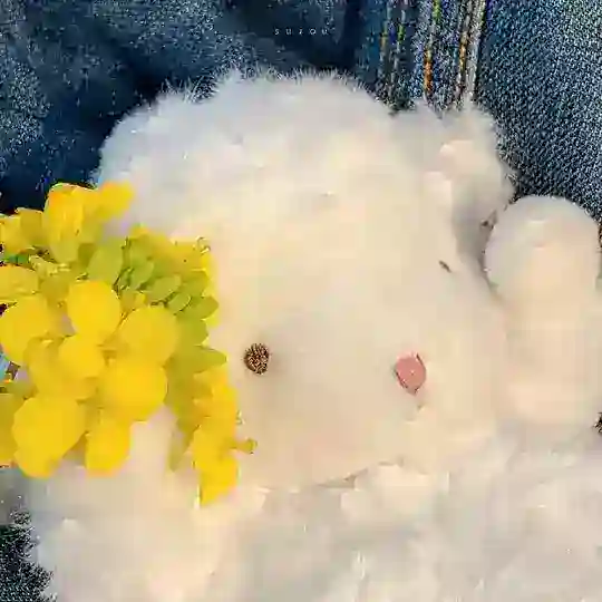 𝓑𝓪𝓮业务买卖群