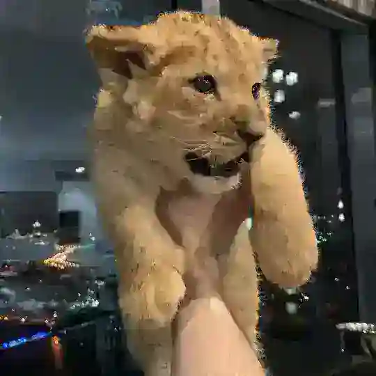 39 Invest Chat