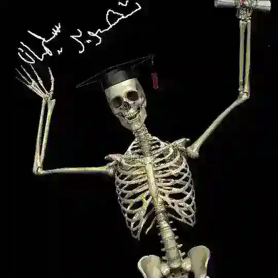 تصوير سليمان