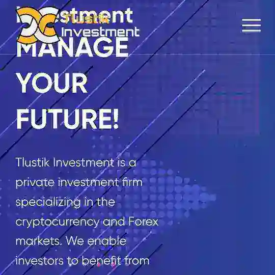 TLUSTIK INVESTMENT LLC