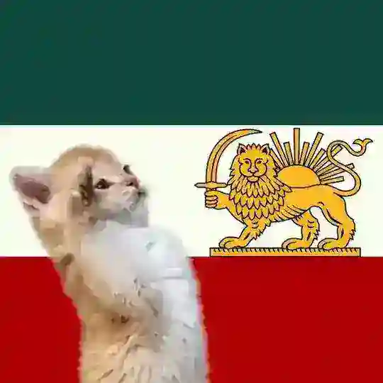 وزارت ارتباطاتِ بیبی🐦‍🔥