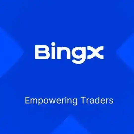 Bingx Chat