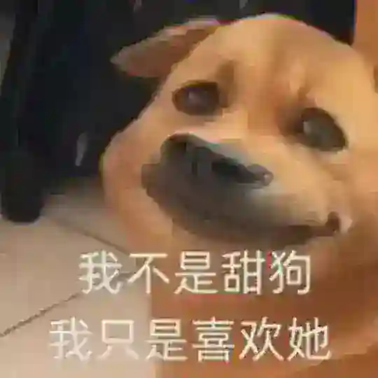 深圳800工兵轮播群