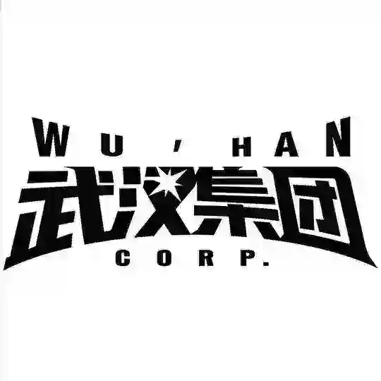 武汉集团