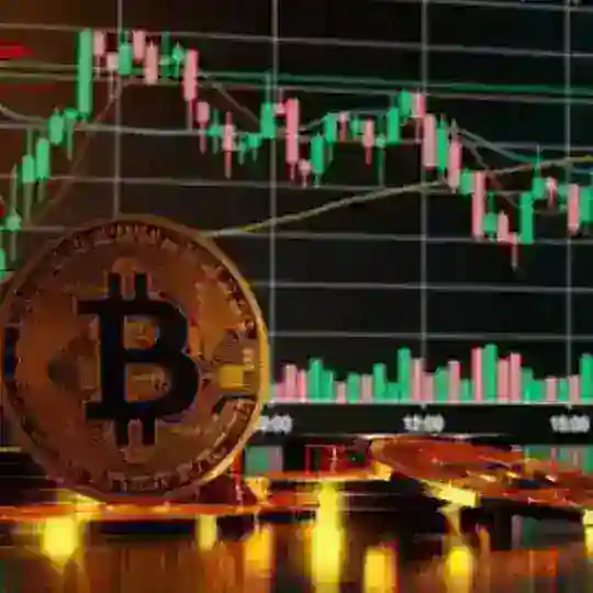 𝐂𝐫𝐲𝐩𝐭𝐨 𝐌𝐞𝐡𝐝𝐢👑