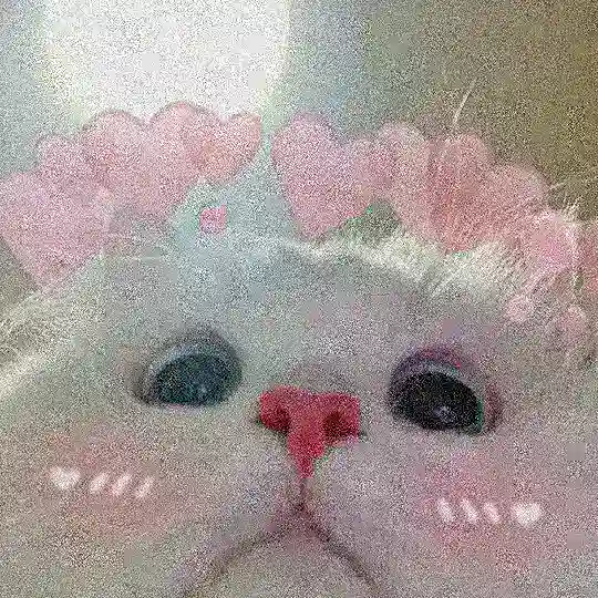 Котя Cards | Чат
