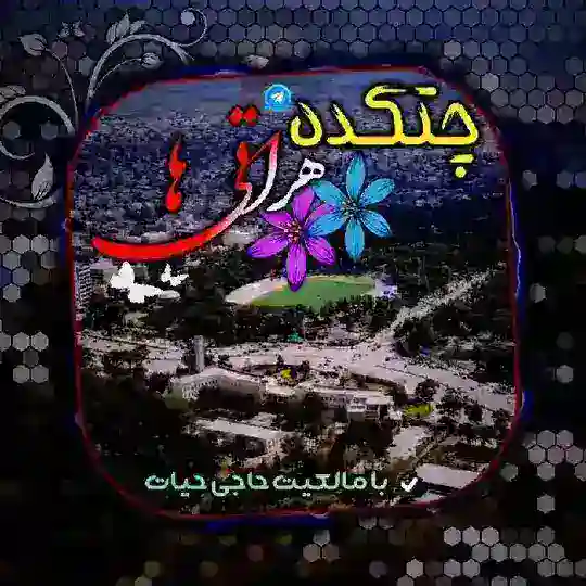 گروه چتکده هراتی ها