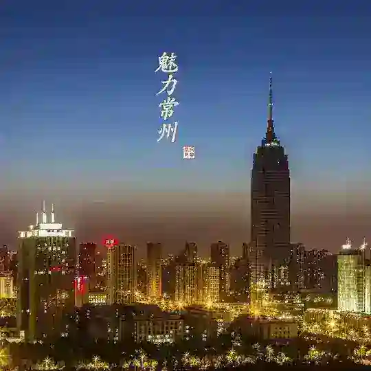 常州永动机修车交流总群