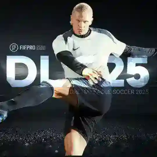 DLS 2025 GRUPPASI