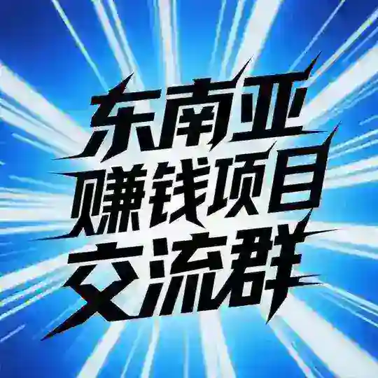 东南亚赚钱项目交流群