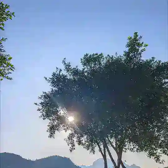 （东莞）喝茶聊天群 禁止广告