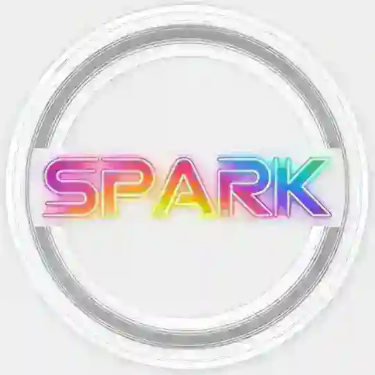 SPARK（DMA 双机转换 DB双机内存）