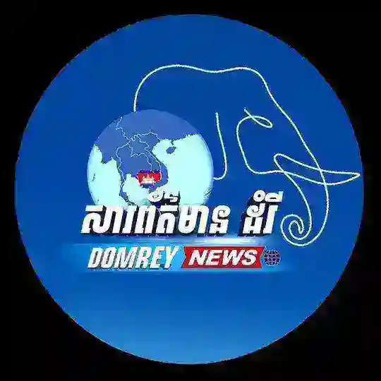 សារព័ត៌មាន ដំរី