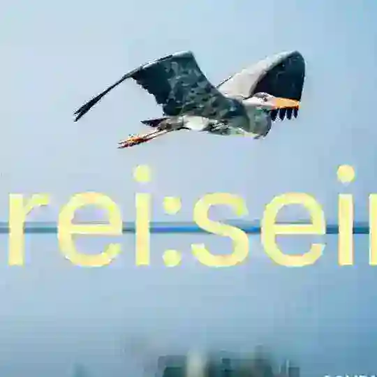 Einfach sein und Frei sein ! To Be Human To Be Free !