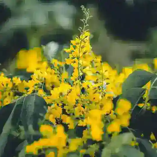 ကဗျာချစ်သူများ စာတိုများ Poem Group