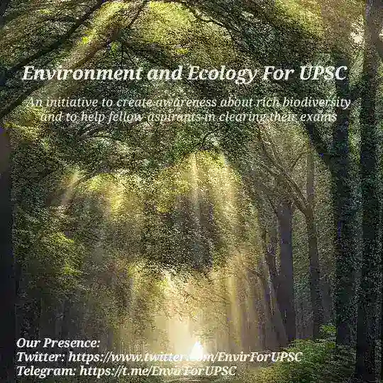 Environment Discussion Page