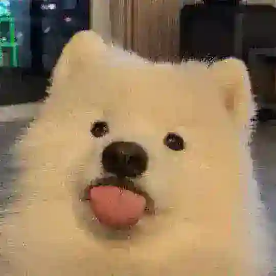 芭比の买卖群🌈