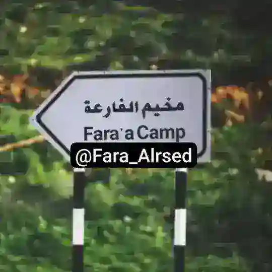 رصد مخيم الفارعة