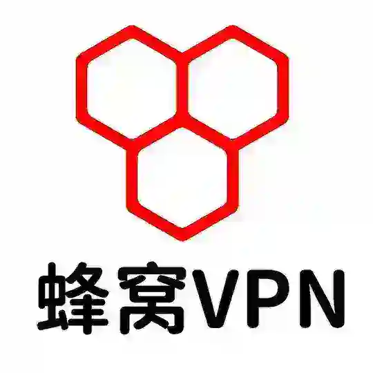 蜂窝Vpn-八年运营优化经验🍎