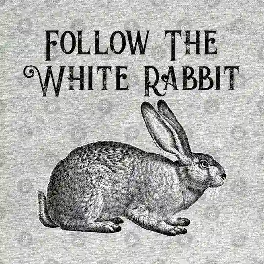 Follow The White Rabbit ™ Chat 🐇