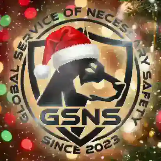 GSNS Информация (Международный Сервис Необходимой Безопасности - Global Service of Necessary Safety)