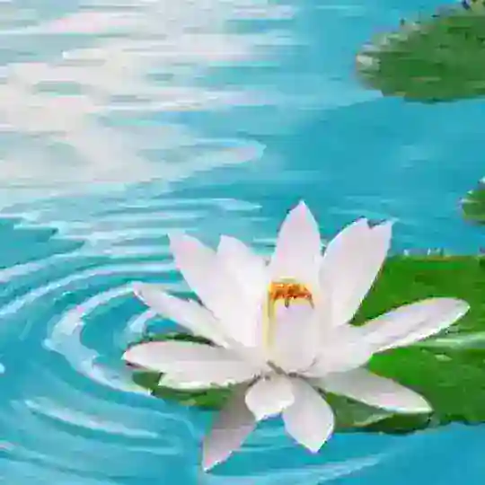 走出情海