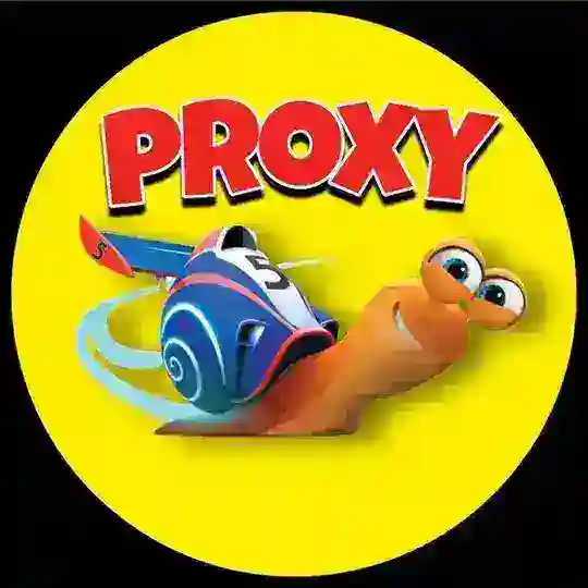 •Proxy & Config• 2️⃣
