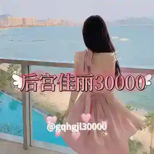 后宫佳丽 认准管理员 盛丰担保上押10000U 安全保证金