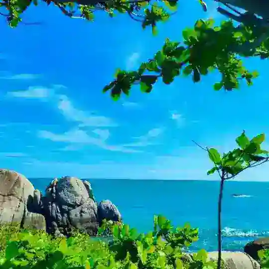 海南 海口三亚学院