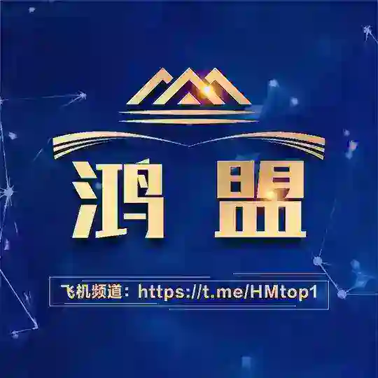 鸿盟出海【海外资讯交流群】