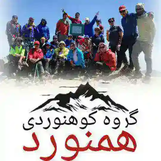 همنورد